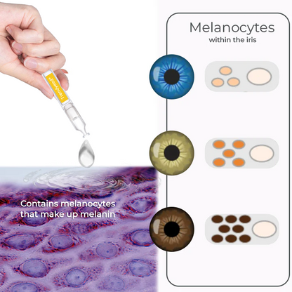 Trendyeed® Pro Formula Eye Drops: Advanced Color Transformation & Eye Nourishment