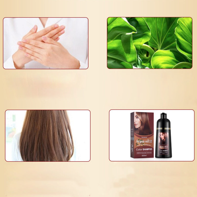 2-in-1 Long-Lasting Hair Dye & Shampoo